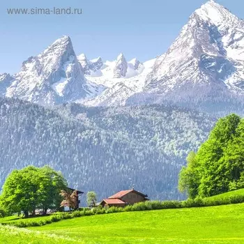Кухонный фартук, 600 × 600 мм, закалённое стекло 4 мм, 4 отверстия под крепёж