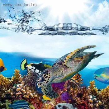 Кухонный фартук, 600 × 600 мм, закалённое стекло 4 мм, 4 отверстия под крепёж