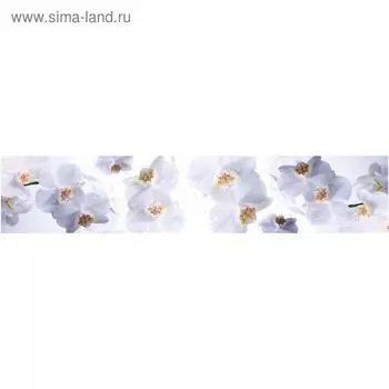 Кухонный фартук, композит, КМ 15, 3000х610х3 мм