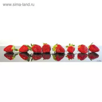 Кухонный фартук, композит, КМ 207, 3000х610х3 мм