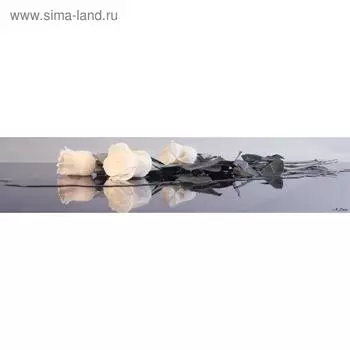 Кухонный фартук, композит, КМ 208, 3000х610х3 мм