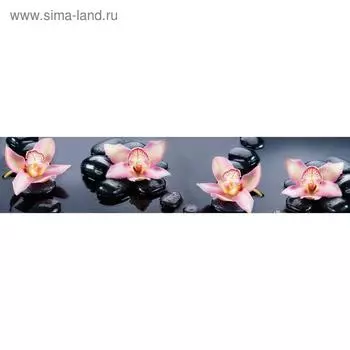 Кухонный фартук, композит, КМ 214, 3000х610х3 мм