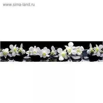 Кухонный фартук, композит, КМ 35, 3000х610х3 мм