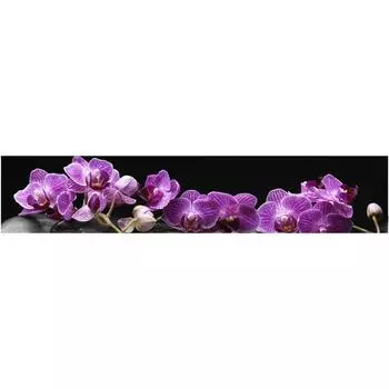 Кухонный фартук, композит, КМ 38, 3000х610х3 мм