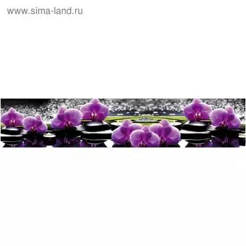 Кухонный фартук, композит, КМ 43, 3000х610х3 мм