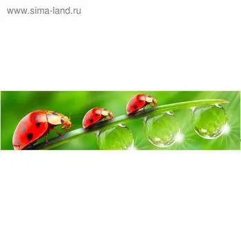 Кухонный фартук МДФ, AG 09 2440х610х4 мм