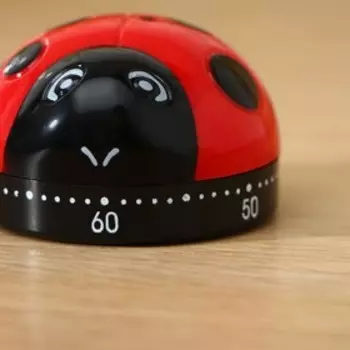 Таймер механический Доляна «Божья коровка», кухонный, 663,8 см