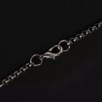 Кулон-амулет «Помпеи» хамелеон, цвет чернёное серебро, 70 см