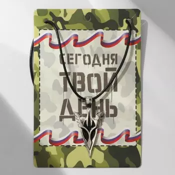 Кулон мужской «Символ», цвет чернёное серебро на чёрном шнурке, 50 см