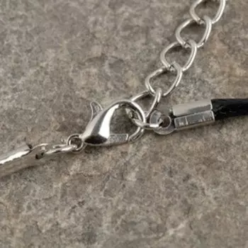 Кулон на шнурке «Сойка», цвет медный на чёрном шнурке, 45 см