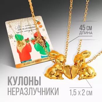 Кулоны неразлучники «Мы с тобой, как две половинки», длина цепочки 45 см.