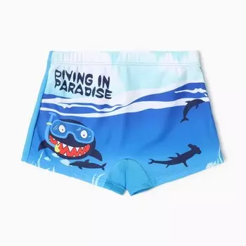 Купальные трусы для мальчика MINAKU Paradise, рост 134-140 см (10)