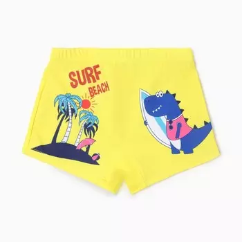 Купальные трусы для мальчика MINAKU BEACH, рост 134-140 см (10)