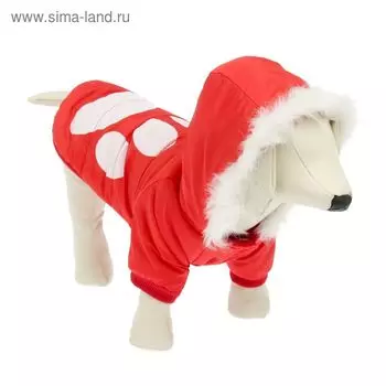 Куртка с капюшоном и мехом, размер М (ОШ 28, ОГ 40, ДС 26 см), красная