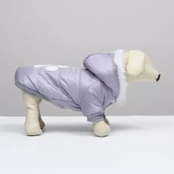 Куртка с капюшоном и мехом, размер М (ОШ 28, ОГ 40, ДС 26 см), серая