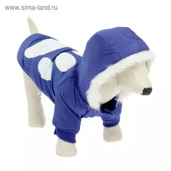 Куртка с капюшоном и мехом, размер XL (ОШ 34, ОГ 47, ДС 31 см), синяя