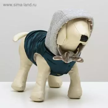 Куртка зимняя, M (ОШ 26-30, ОГ 36-40, ДС 28 см), синия