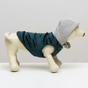 Куртка зимняя, S (ОШ 21-25, ОГ 29-36, ДС 23 см), синия