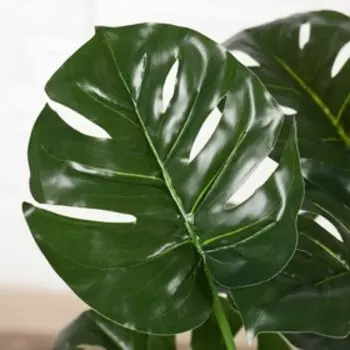 Куст искусственный «Монстера», h=70 см