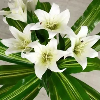 Куст искусственный «С цветком», h=90 см, МИКС