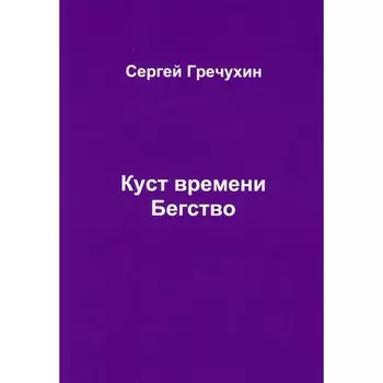 Куст времени. Бегство. Гречухин С.А.