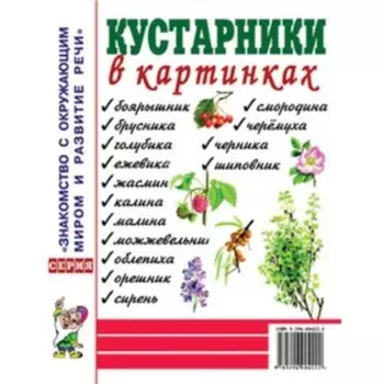 Кустарники в картинках. Наглядное пособие для педагогов, логопедов, воспитателей и родителей