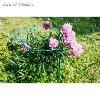 Кустодержатель, d = 60 см, h = 60 см, d = 1 см, металл, набор 2 шт., зелёный