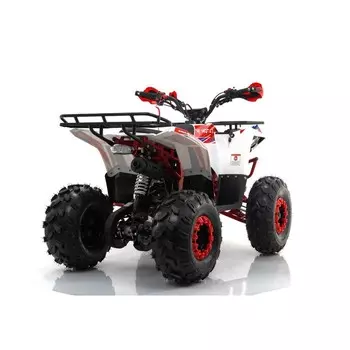 Квадроцикл детский бензиновый Motax Atv Grizlik A125, бело-красный