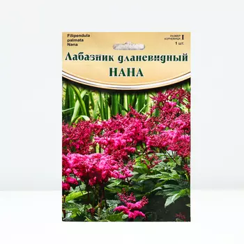 Лабазник "Nana", р-р I, 1 шт, Весна 2024
