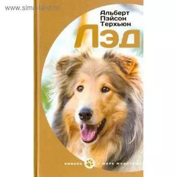 Лэд. Терхьюн А.