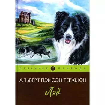 Лэд. Терхьюн А.П.