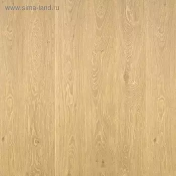 Ламинат Germany TC-Lock Дуб Гамбург/Oak Hamburg, 32 класс, 8 мм, 2 м2