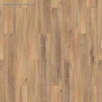 Ламинат TAIGA Первая Сибирская, Дуб коричневый, 32 класс ,10мм, 1,5м2