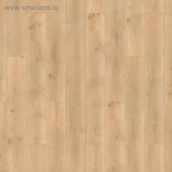 Ламинат TAIGA Первая Уральская, Дуб бежевый, 32 класс ,8мм, 2,0м2