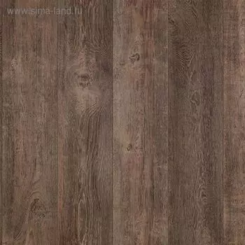 Ламинат Tarkett Cinema Brando, 32 класс, 8 мм