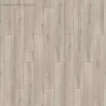 Ламинат Tarkett CRUISE 832 CARNIVAL, 32 класс, 8мм, 1,64 м2