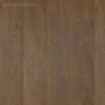 Ламинат Tarkett INTERMEZZO, дуб аккорд весенний, 33 класс, 8 мм