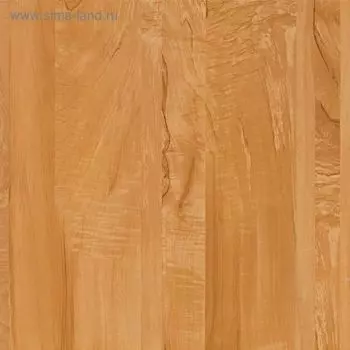 Ламинат Tarkett Robinson, груша аббат, 33 класс, 8 мм