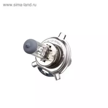 Лампа автомобильная Xenite Standart H4 (P43t)
