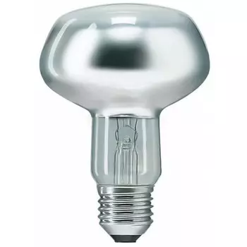 Лампа накаливания Favor, E27, 60 Вт, 470 лм