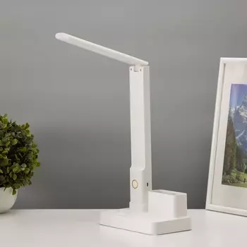 Лампа настольная «Отличник» 5 Вт LED 2700-6500К USB 1200mAh диммер 161030 см