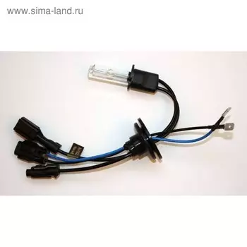 Лампа ксеноновая Clearlight Xenon Premium+80% H3