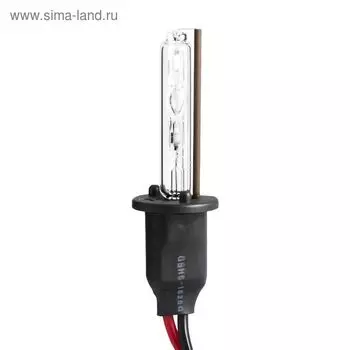 Лампа ксеноновая MTF, H1, 4300k