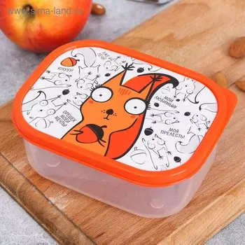 Ланч - бокс прямоугольный «Белка», 500 мл