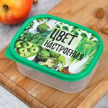 Ланч - бокс прямоугольный «Цвет настроения зелёный», 500 мл