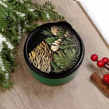 Ланч-бокс «Джунгли», 300 мл