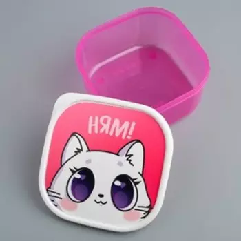 Ланч - бокс квадратный «Котик», 700 мл