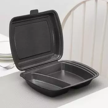 Ланч - бокс одноразовый, 24,720,67 см, 2-х секционный, цвет чёрный