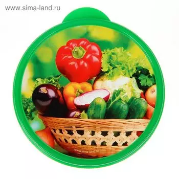 Ланч - бокс круглый «Овощи и зелень», 500 мл