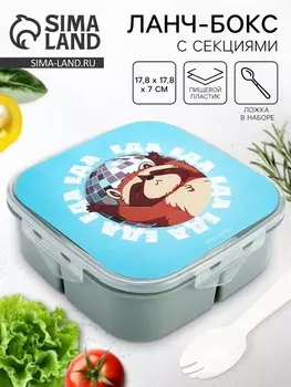 Ланч - бокс с ложкой, «Енот», 17.817.87 см